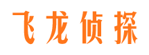 小河侦探公司